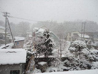 11.12.1.jpg