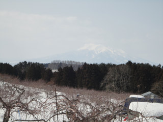 12.03.08-iwaki.jpg