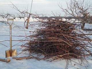 12.03.27-eda-atusme.jpg