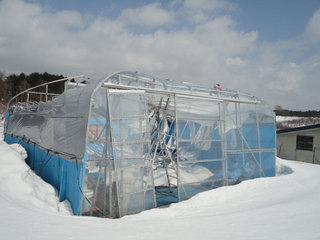 12.03.27-setugai-biniiru.jpg