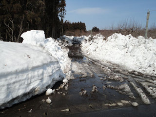 12.03.29-jyosetu.jpg