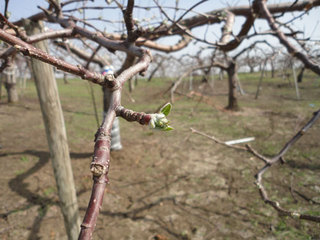 12.04.28-2.jpg