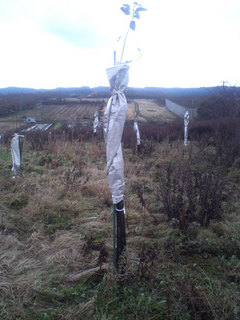 12.12.12-1.jpg