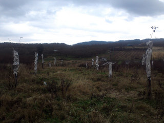 12.12.12-2.jpg