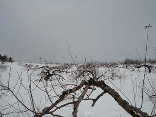 12.2.24-10.jpg