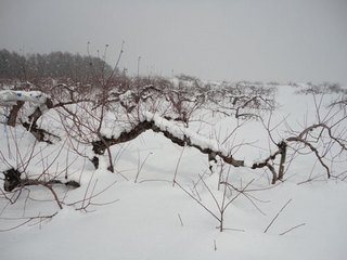 12.2.24-4.jpg