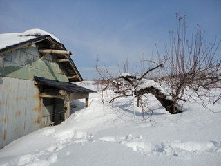 12.2.24-5.jpg