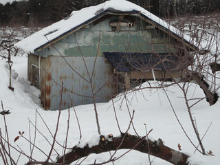 12.2.24-7.jpg