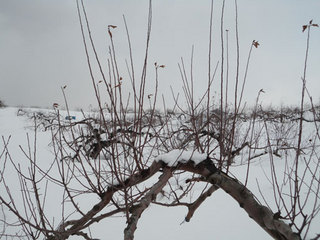 12.2.24-9.jpg