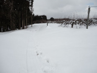 12.2.24start2.jpg