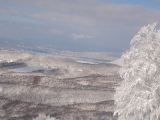 13.01.24-4.jpg