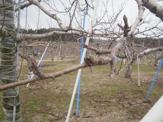 13.04.21-1.jpg