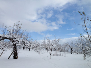 13.12.12-2.jpg