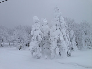14.01.23-4.jpg