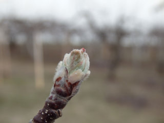 14.04.25-13.jpg