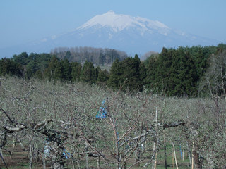 14.04.29-2.jpg