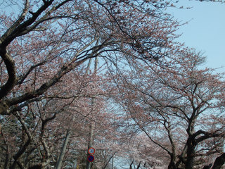 14.04.30-0426.jpg