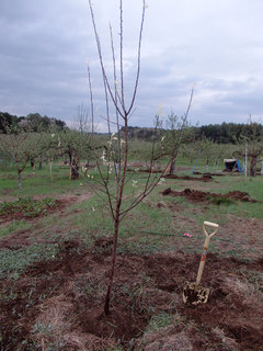 14.05.13-4.jpg