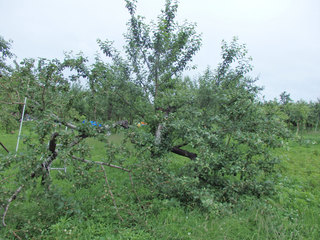 14.06.13-3.jpg