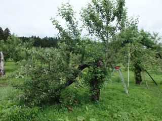 14.06.13-4.jpg