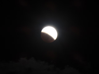 14.10.08-5.jpg