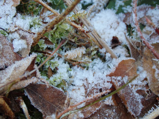 15.02.13-7.jpg