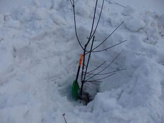 15.03.05-5.jpg