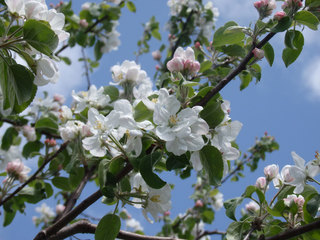 16.05.13-2.jpg