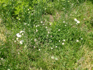 16.06.07-8.jpg