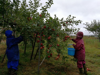 17.10.19-1.jpg